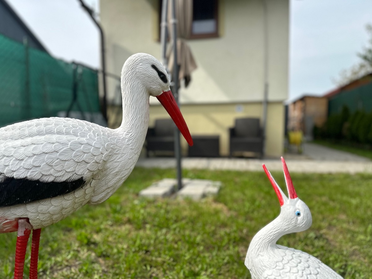 Útulná chatka v rekreačnej oblasti Gbely - Adamovské jazerá
