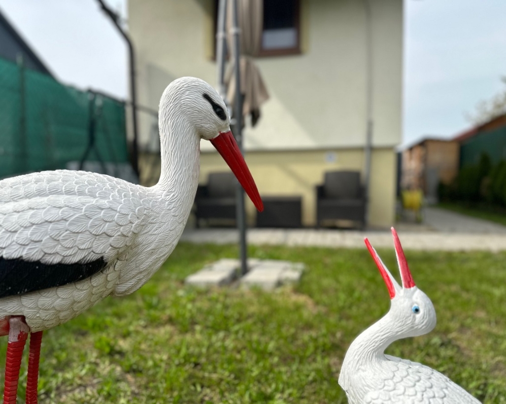 Útulná chatka v rekreačnej oblasti Gbely - Adamovské jazerá